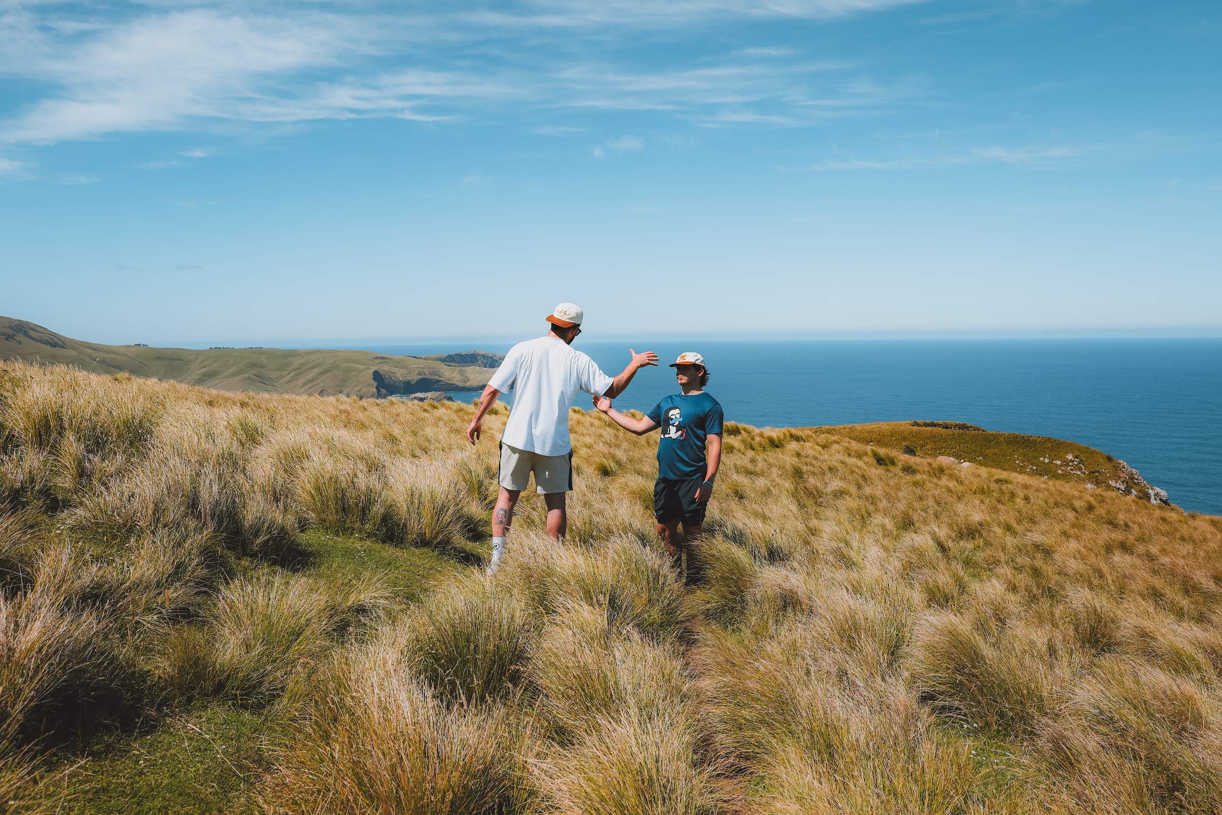 A high five in the golden tussock above the Pacific, New Zealand.